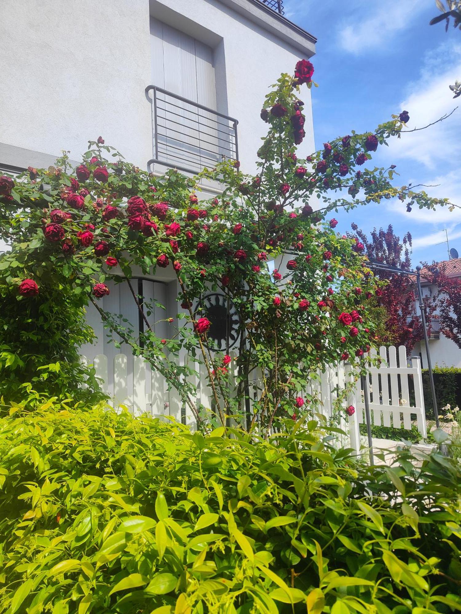 Villa Marianna Garda Lake Peschiera del Garda Zewnętrze zdjęcie